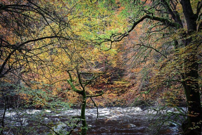 Is autumn the best season in Scotland? Dunkeld and Birnham woods and the River Braan in autumn, Perthshire, Scotland. © copyright Matthew Brace