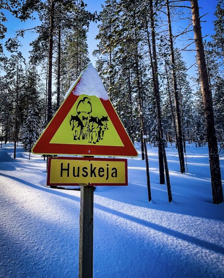 In Finnish Lapland husky sleds get their own path through the forests. © copyright Matthew Brace