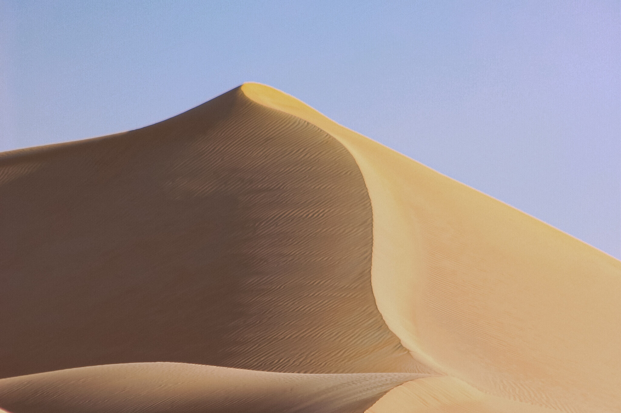 Perfectly sculpted sand dune on the border of the United Arab Emirates and Saudi Arabia, on the edge of the Rub' Al Khali desert.