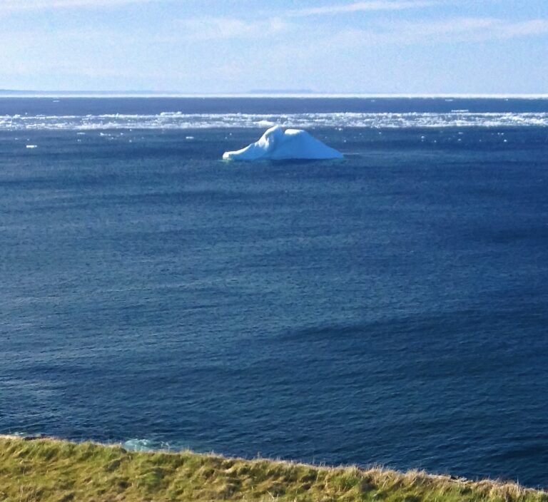 S3 E3: Adopting an iceberg in Canada An iceberg off the coast of Grates Cove in Newfoundland, Canada. © copyright Matthew Brace