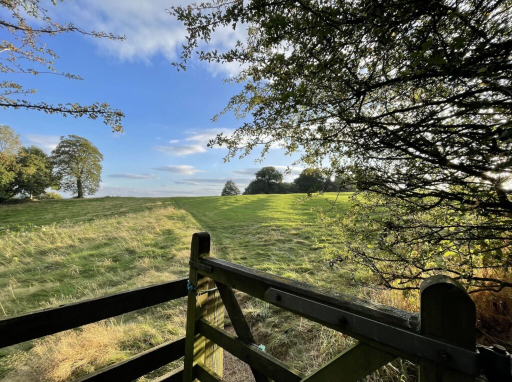 A rural scene of a gate leading on to a green field and trees in bloom in early summer in South Warwickshire, England. © copyright Matthew Brace