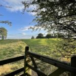 A rural scene of a gate leading on to a green field and trees in bloom in early summer in South Warwickshire, England. © copyright Matthew Brace