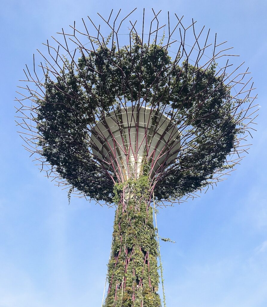 One of the artificial Supertrees towering over the Gardens By The Bay in Singapore and showing its green growth. © copyright Matthew Brace