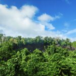 Looking across the verdant Tafua Crater, Savai'i, Samoa. © copyright Rickard Törnblad, CC BY-SA 4.0 , via Wikimedia Commons