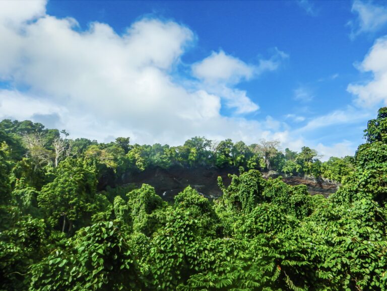 S3 E11: Getting prehistoric in the South Pacific Looking across the verdant Tafua Crater, Savai'i, Samoa. © copyright Rickard Törnblad, CC BY-SA 4.0 , via Wikimedia Commons