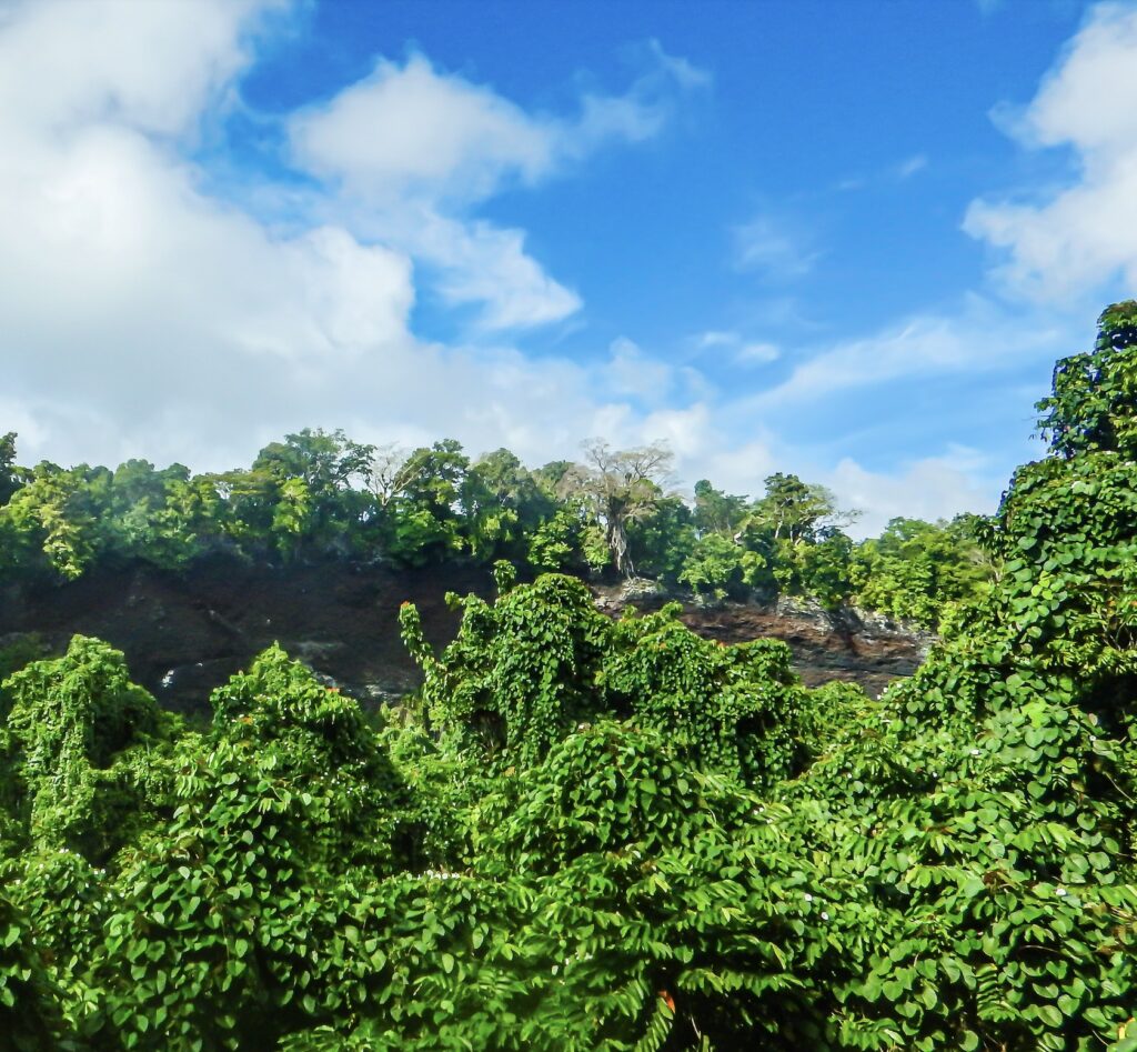 Looking across the verdant Tafua Crater, Savai'i, Samoa. © copyright Rickard Törnblad, CC BY-SA 4.0 , via Wikimedia Commons