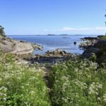 Fragrant wildflowers, warm granite rocks and cool Baltic waters make up the landscape of beautiful Pihlajasaari island just off Helsinki, the original inspiration for the Six Minutes Somewhere Else podcast. © copyright Matthew Brace