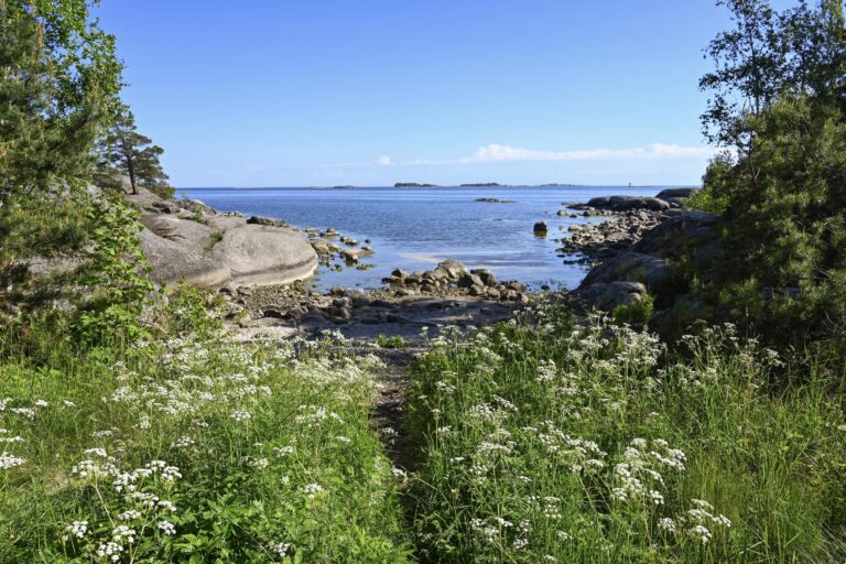 Fragrant wildflowers, warm granite rocks and cool Baltic waters make up the landscape of beautiful Pihlajasaari island just off Helsinki, the original inspiration for the Six Minutes Somewhere Else podcast. © copyright Matthew Brace